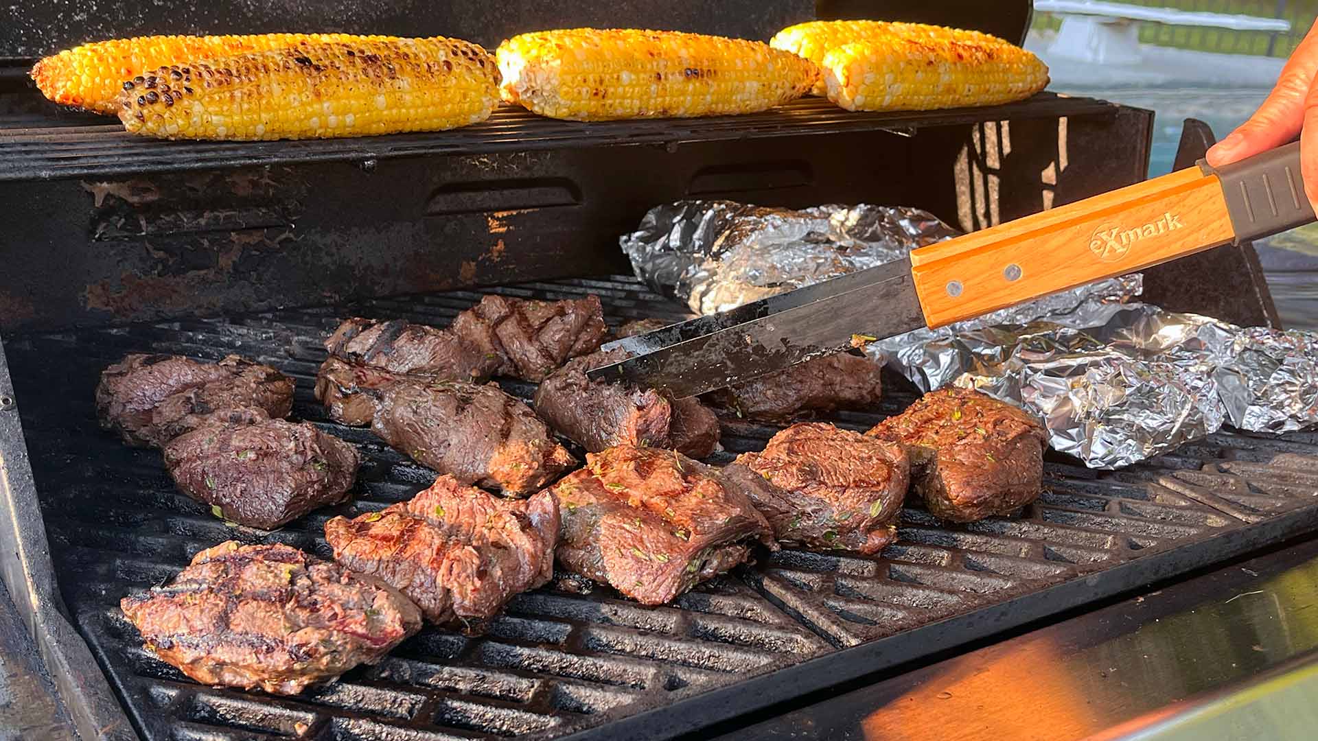 Grilled Deer Tenderloin by Joe Thomas Exmark's Backyard Life