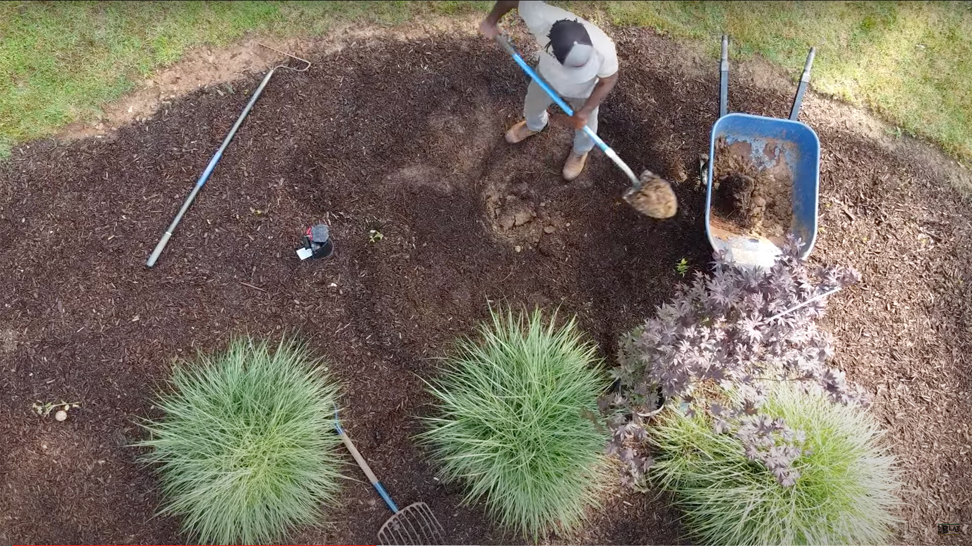 How to Plant a Tree Exmark's Backyard Life