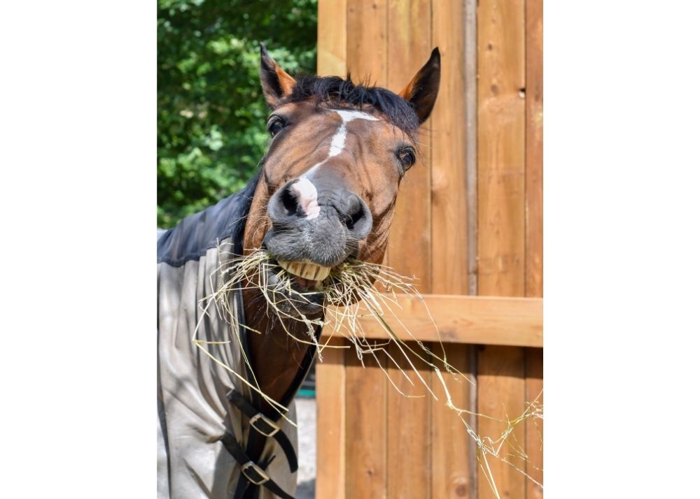 How To Store Hay Bales Outside BACKYARDABLES