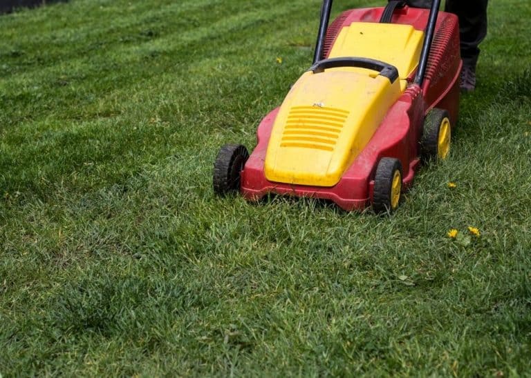 What Direction Should You Mow Your Lawn? BACKYARDABLES