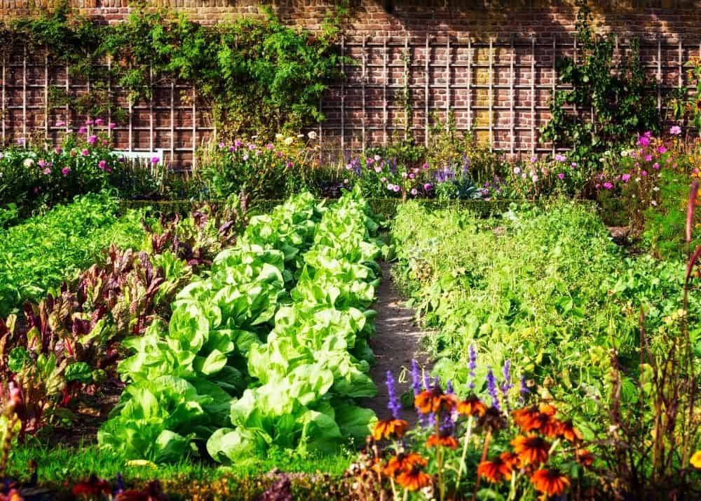 Top 11 Tips For Winterizing Your Garden BACKYARDABLES