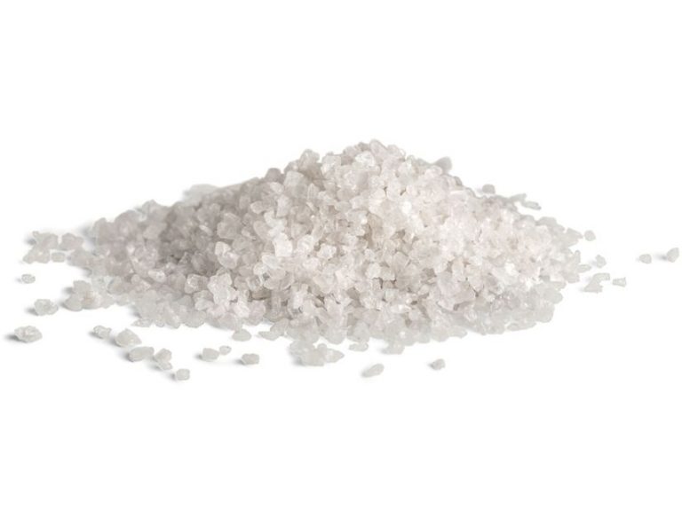 Why You Should Use Salt To Kill Your Trees BACKYARDABLES