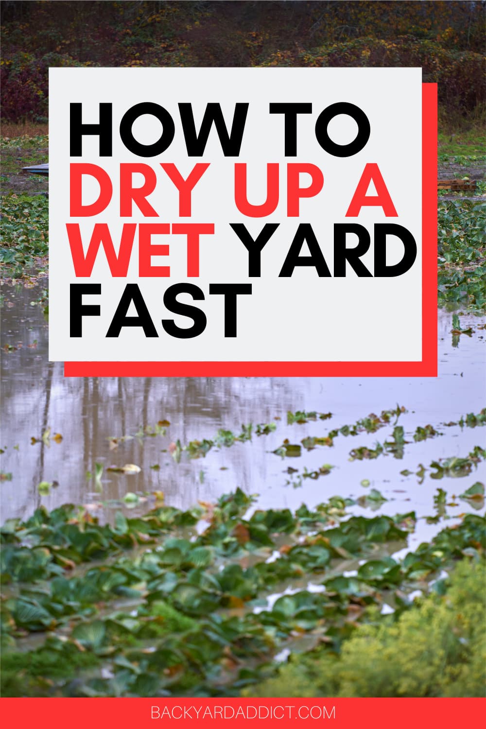 How to Dry Up A Wet Yard Fast Fixing Water Problems Backyard Addict