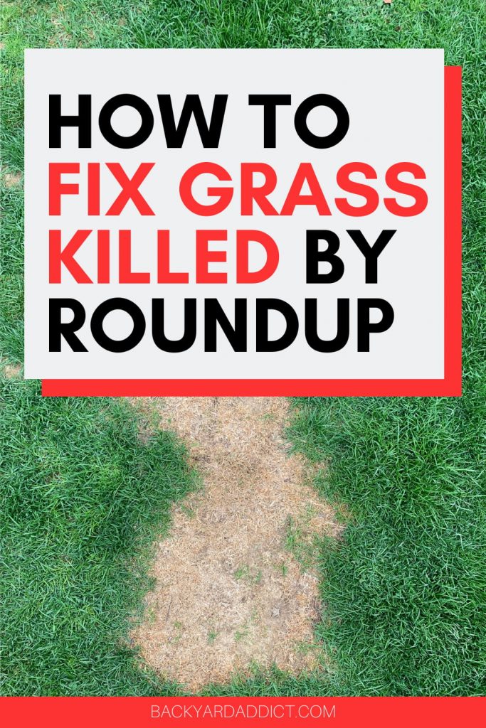 How to Fix Grass Killed by Roundup What You Need To Know Backyard Addict