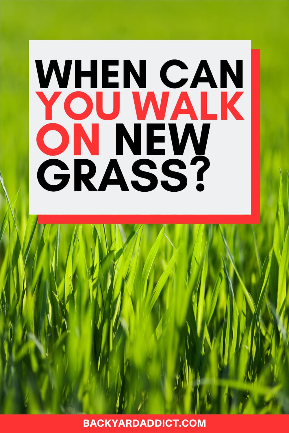 When Can You Walk on New Grass? Tips and Timeline Backyard Addict