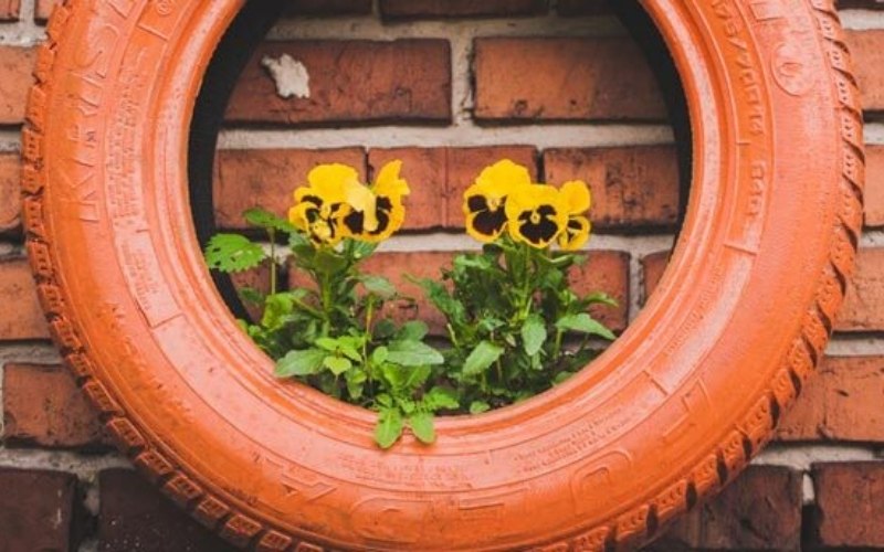 How Do I Landscape My Backyard On a Budget? Backyard Advisor