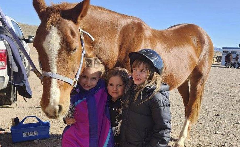 J&J Las Vegas Horse Boarding & Riding Academy