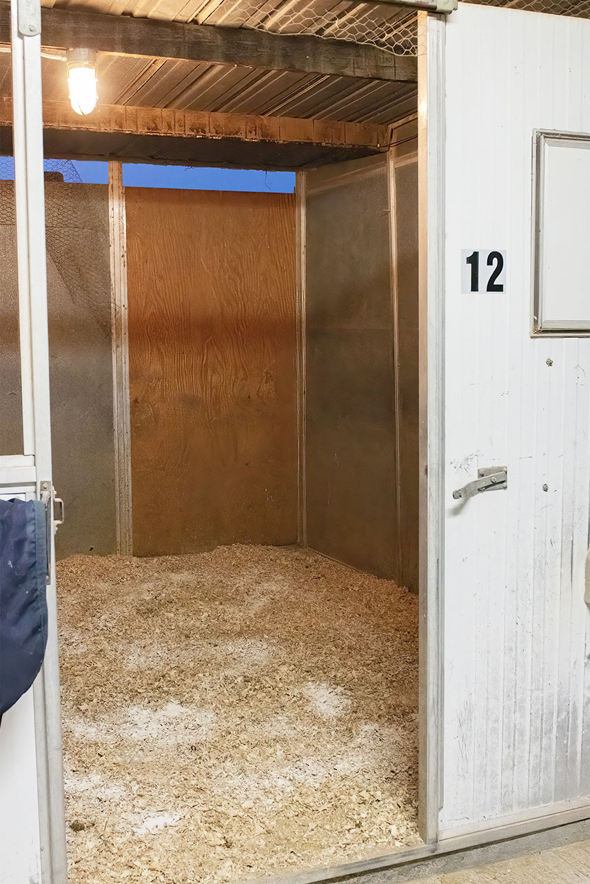 Boarding Backyard Barns Las Vegas