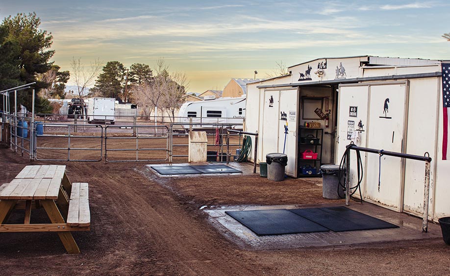 J&J Las Vegas Horse Boarding & Riding Academy