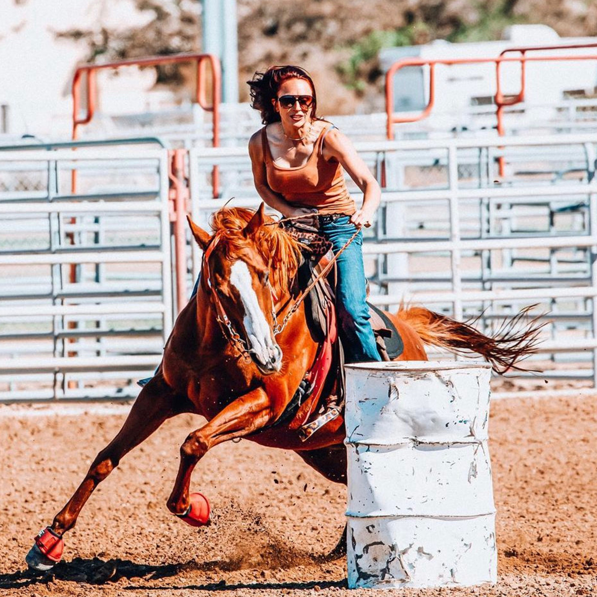 J&J Las Vegas Horse Boarding & Riding Academy