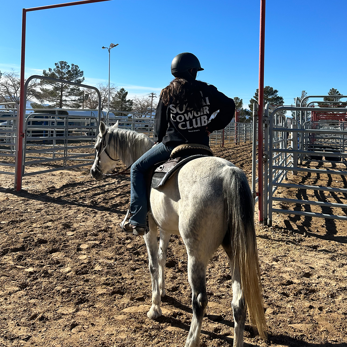 J&J Las Vegas Horse Boarding & Riding Academy