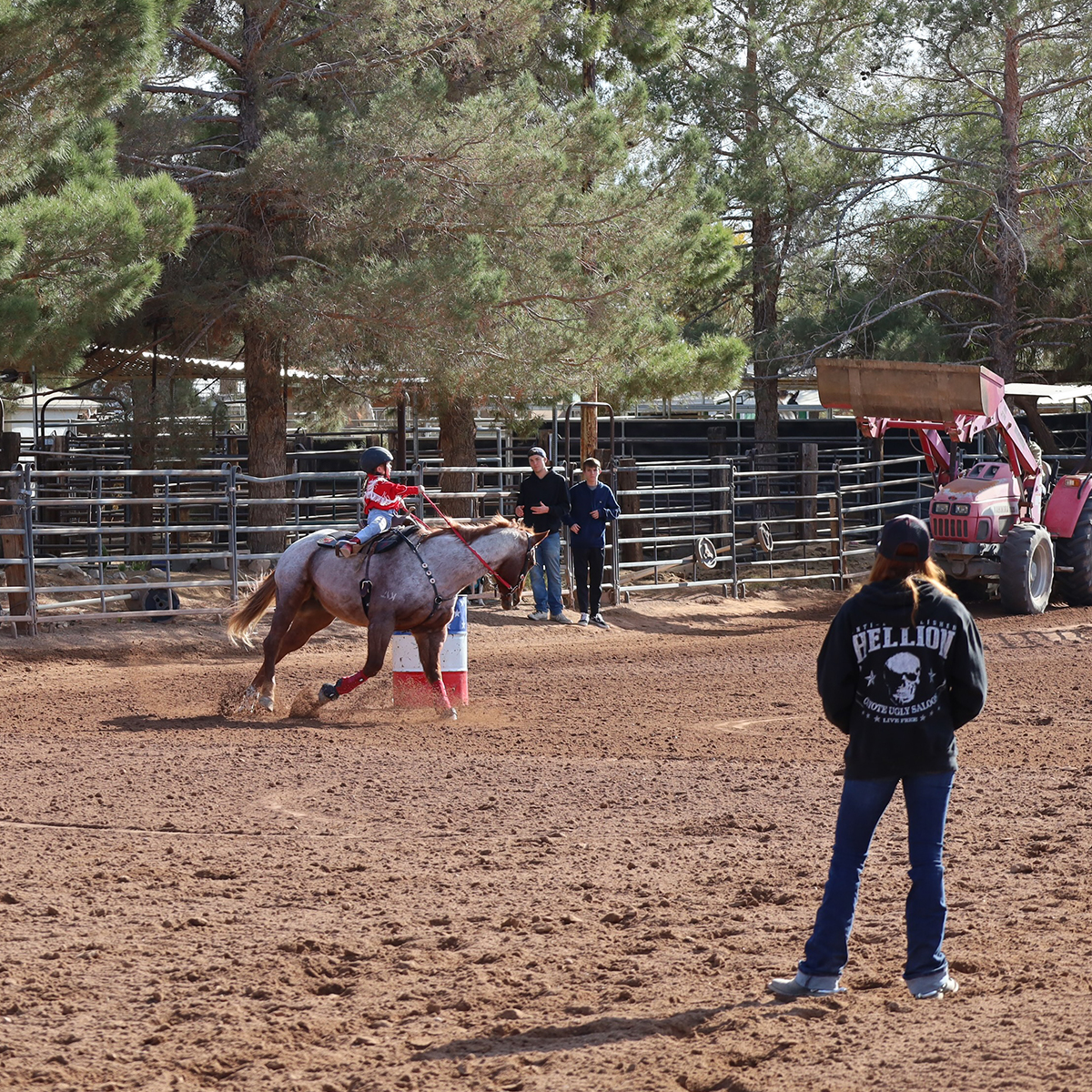 J&J Las Vegas Horse Boarding & Riding Academy