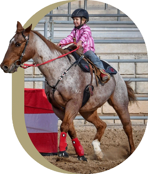 J&J Las Vegas Horse Boarding & Riding Academy