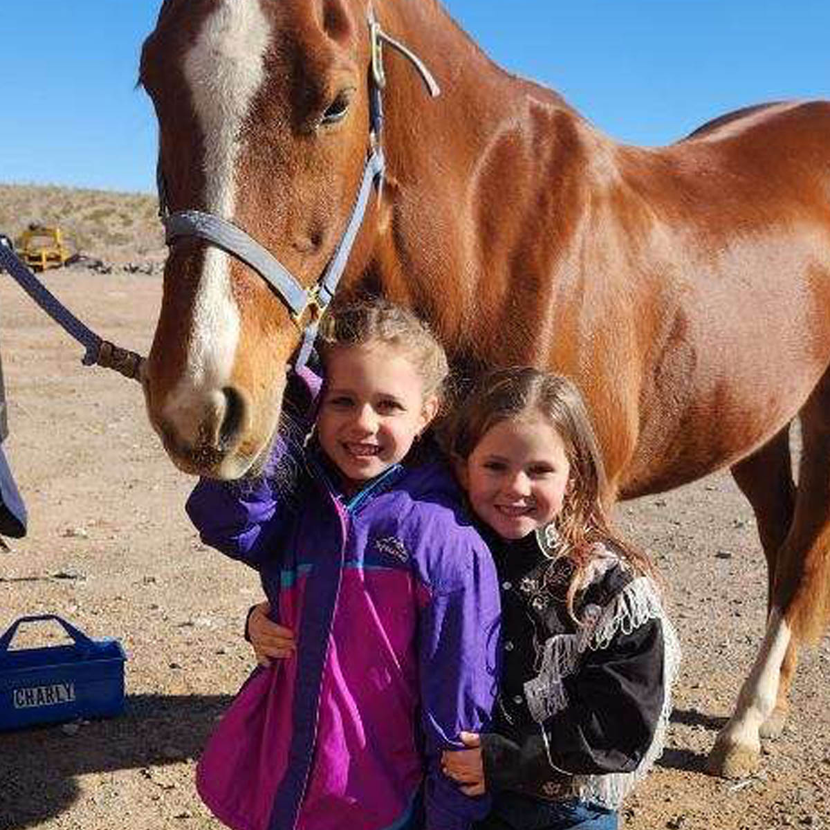 J&J Las Vegas Horse Boarding & Riding Academy