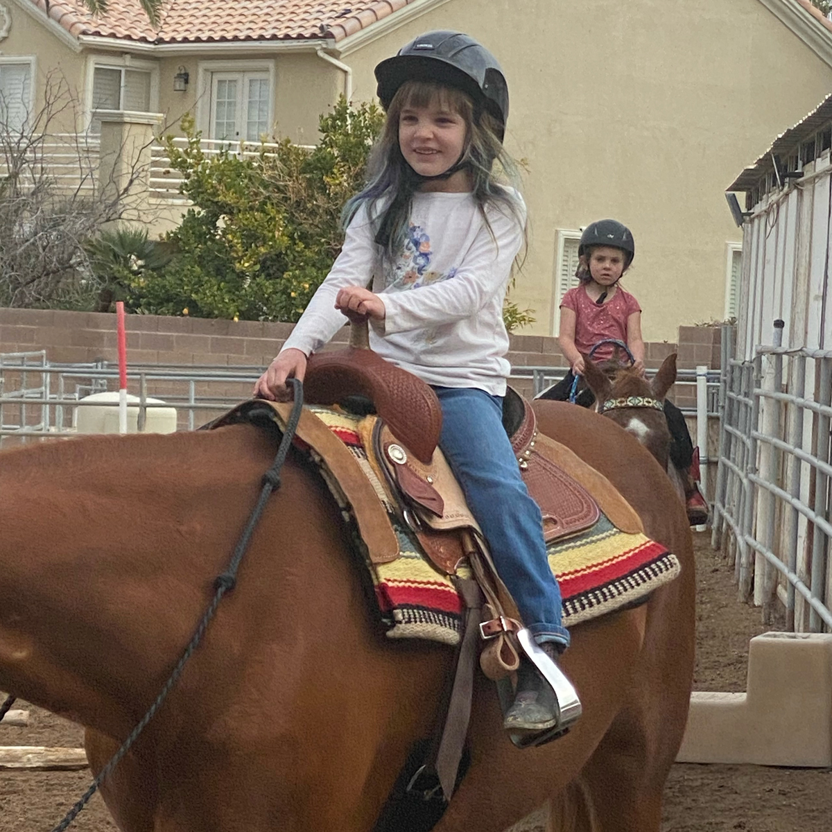 J&J Las Vegas Horse Boarding & Riding Academy