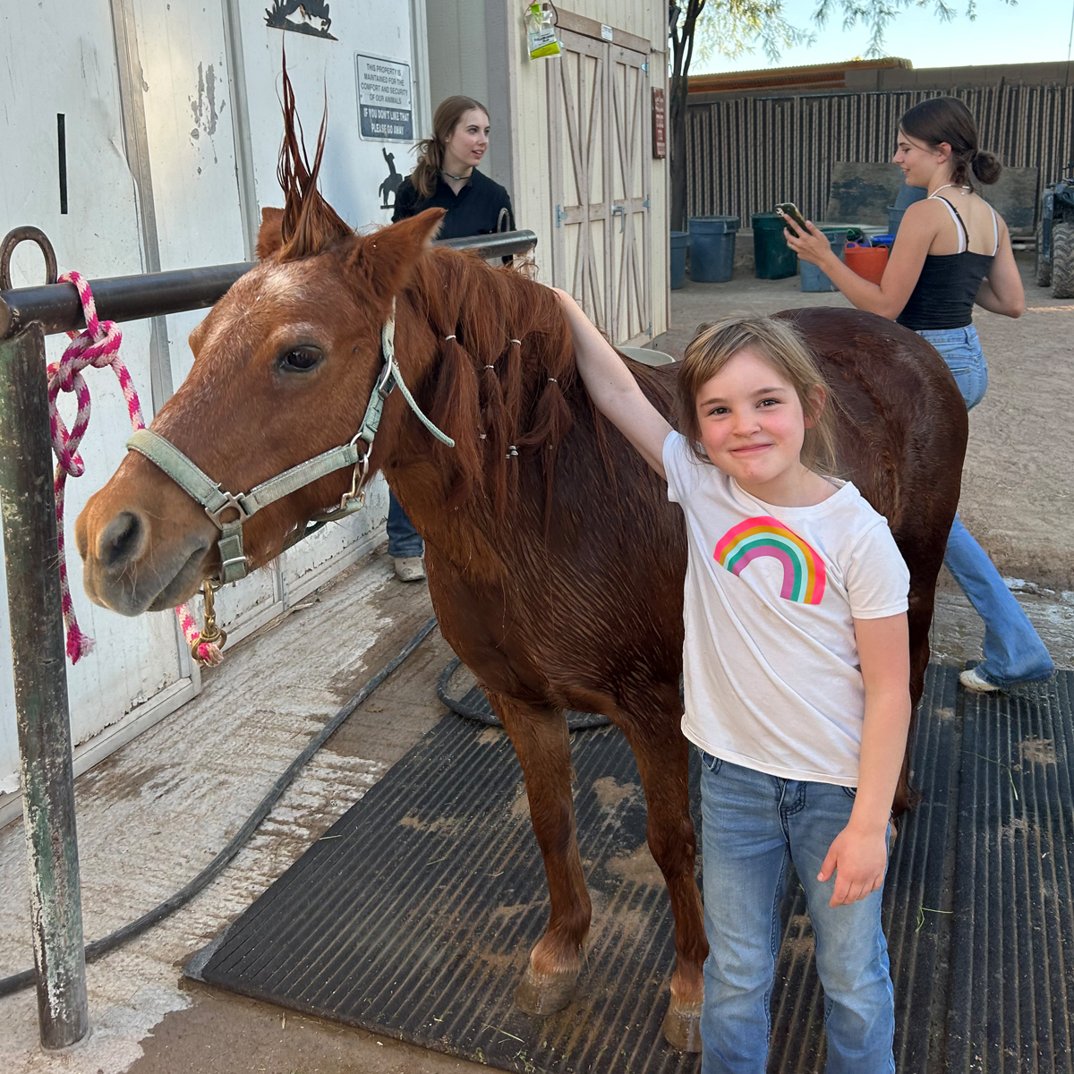 J&J Las Vegas Horse Boarding & Riding Academy