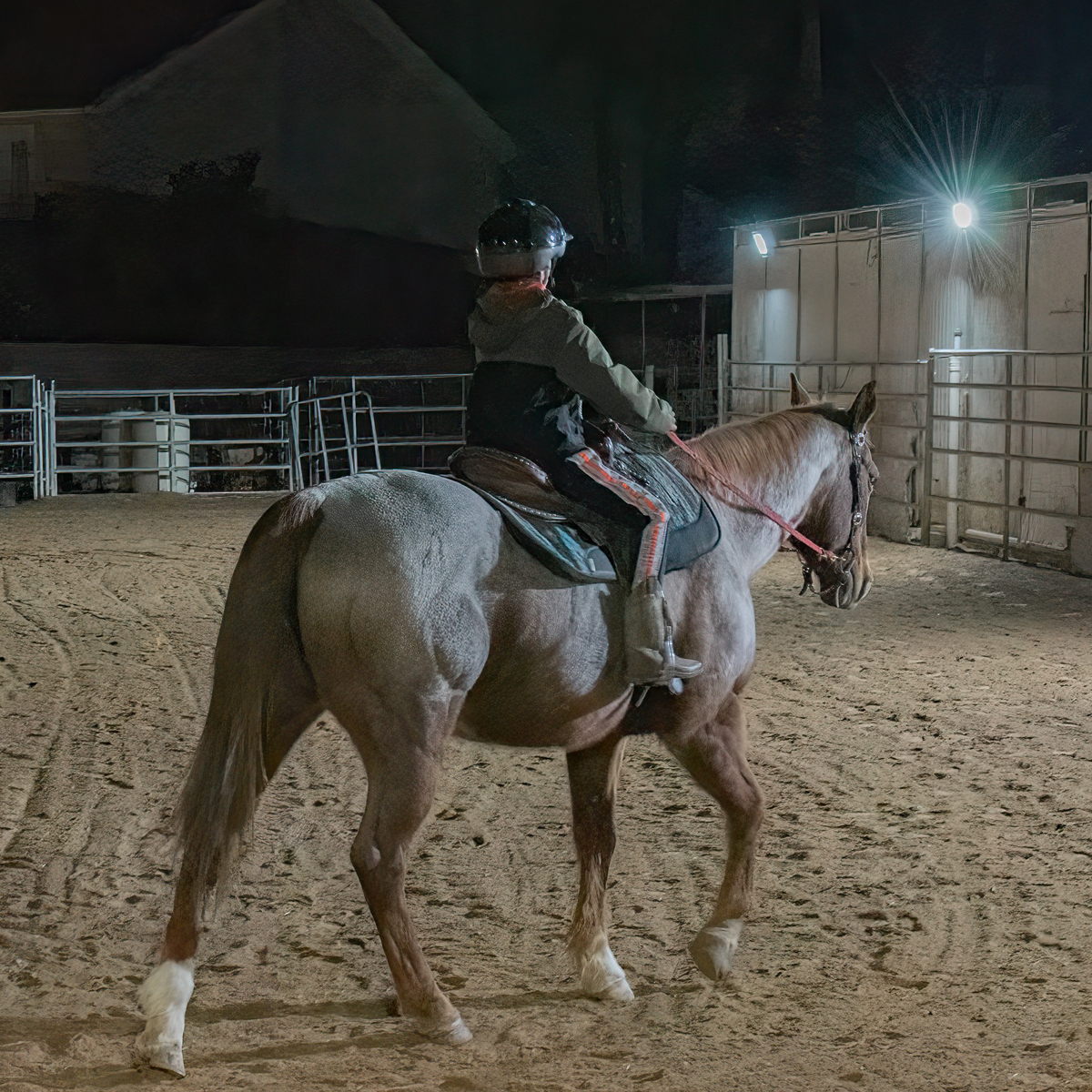 J&J Las Vegas Horse Boarding & Riding Academy