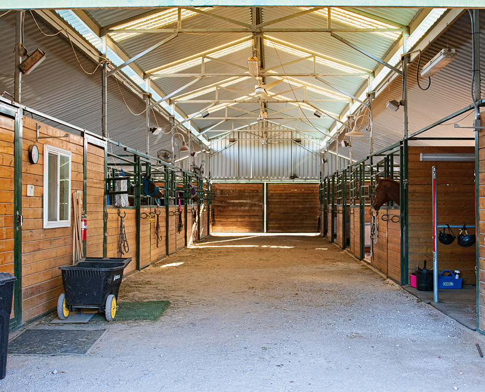 Boarding Backyard Barns Las Vegas