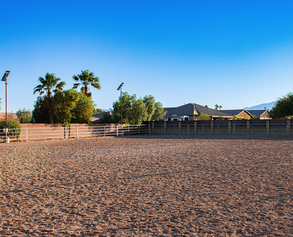 J&J Las Vegas Horse Boarding & Riding Academy
