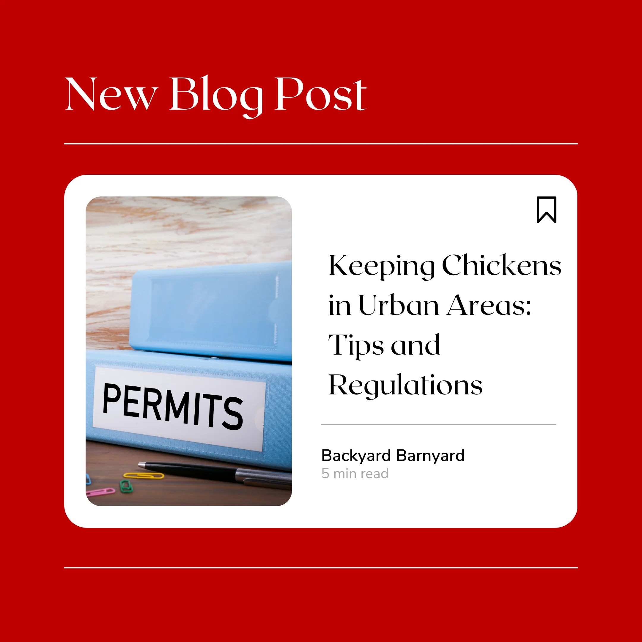 Keeping Chickens in Urban Areas Tips and Regulations Backyard Barnyard