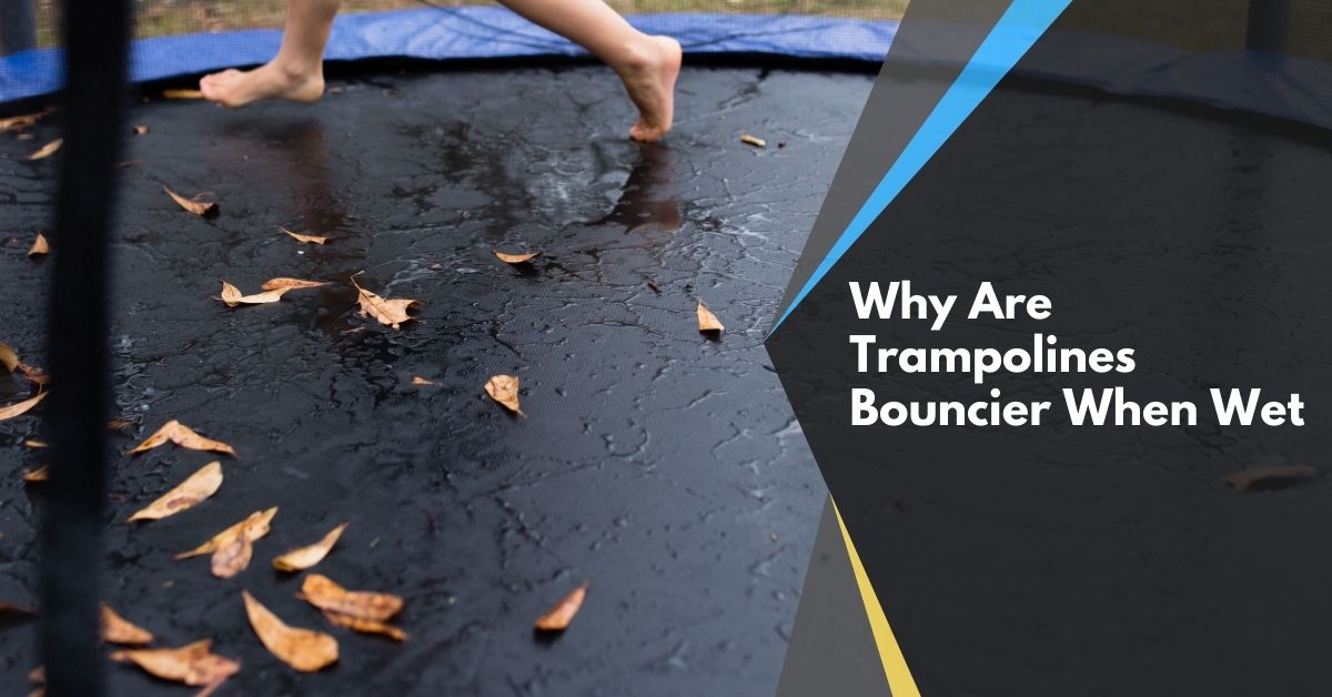 Why Are Trampolines Bouncier When Wet? All You Need To Know