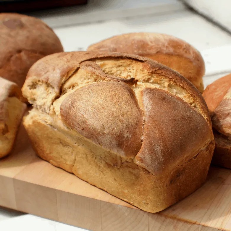 What Can Chickens Eat? 40 Fruits, Veggies, and More