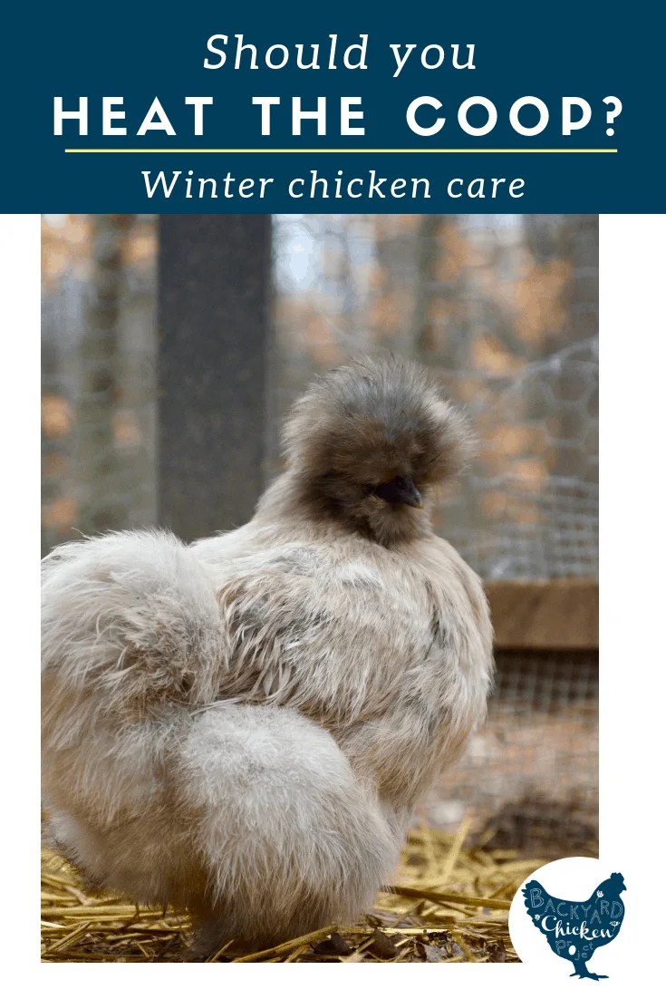 Heat in the Chicken Coop?