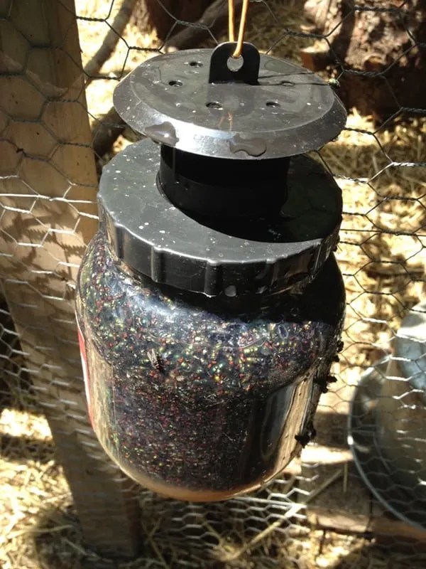 8 Fly Control Products That Really Work to Get Rid of Flies Backyard