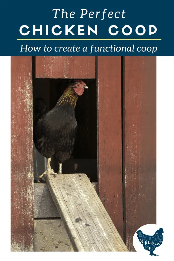 The Perfect Chicken Coop Backyard Chicken Project