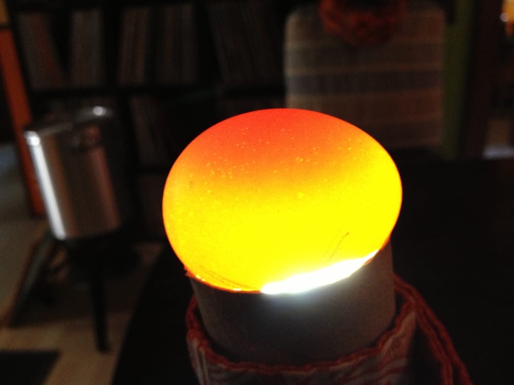 How to Candle Eggs Hatching Chicks Day by Day Backyard Chicken Project