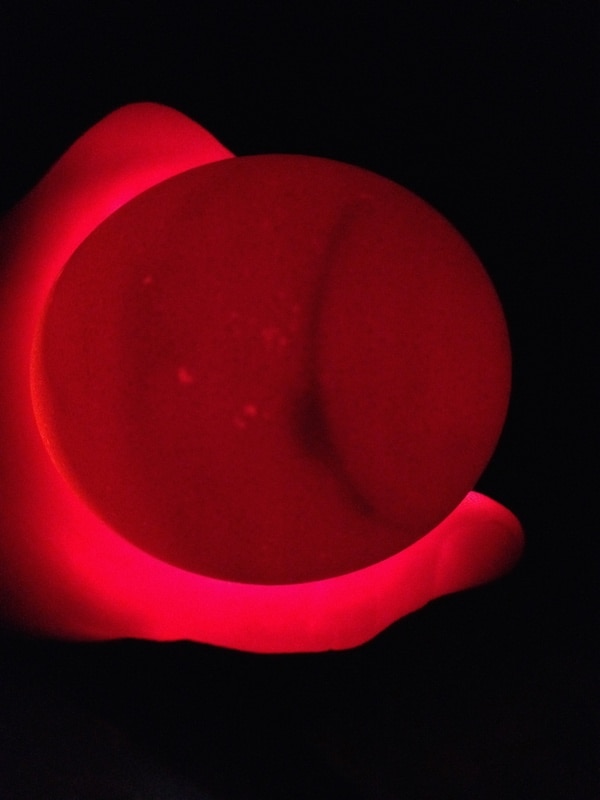 How to Candle Eggs Hatching Chicks Day by Day Backyard Chicken Project