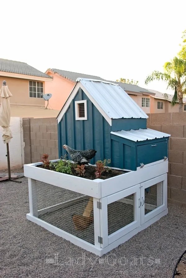 20 Free Plans for an Easy DIY Chicken Coop Backyard Chicken Project