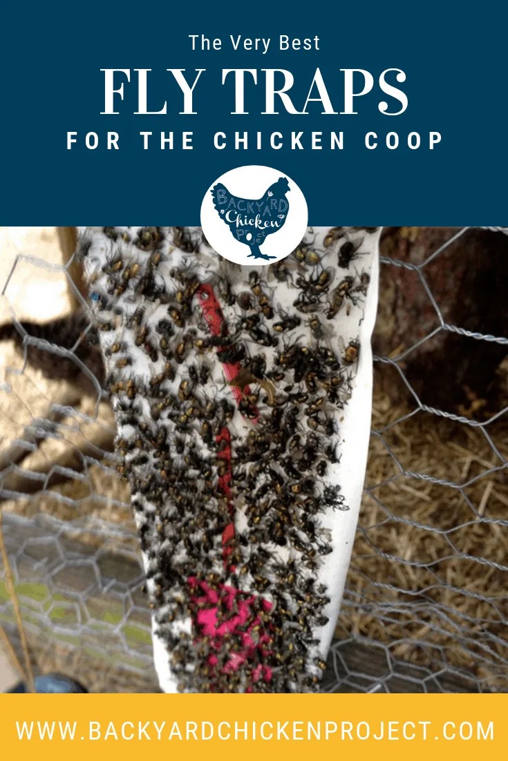 8 Fly Control Products That Really Work to Get Rid of Flies