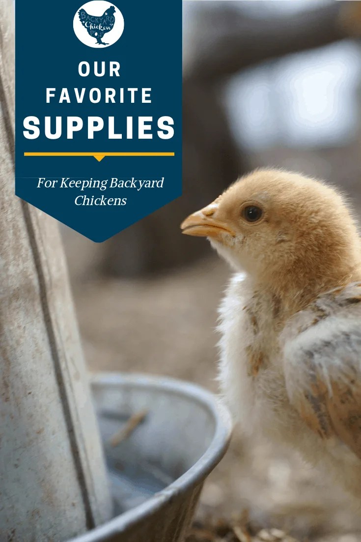 7 Chicken Keeping Supplies We Couldn’t Live Without Backyard Chicken