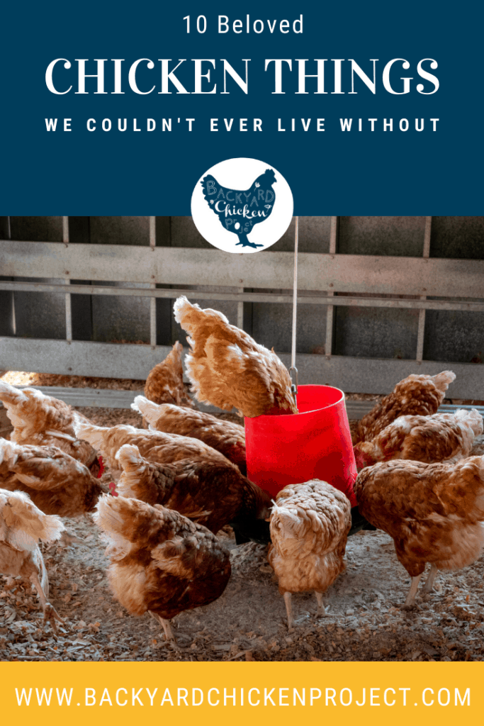 Our Top Ten Most Used Chicken Products Backyard Chicken Project