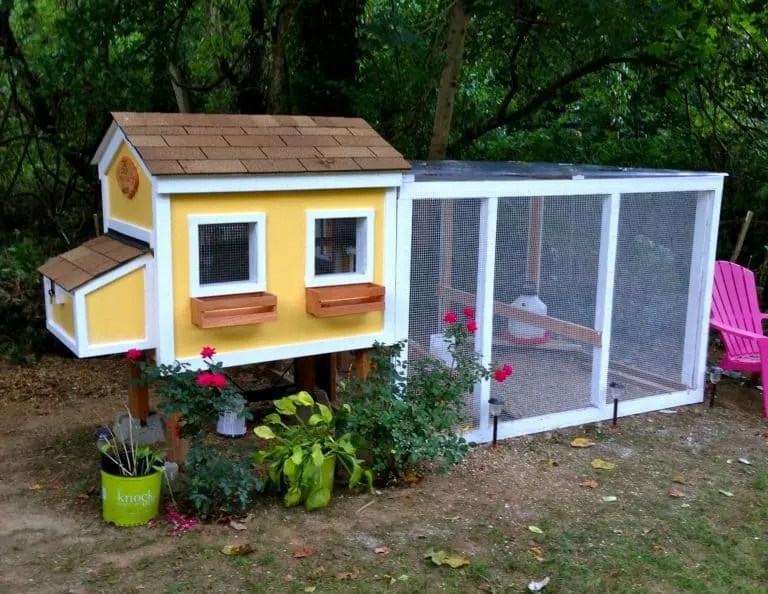 10 Free Urban Chicken Coop Plans Backyard Chicken Project