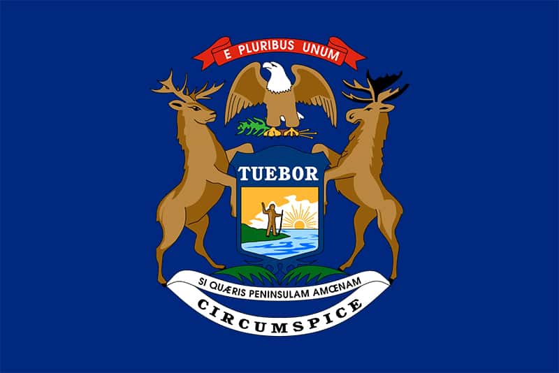 Are Chickens Allowed In My City? Chicken Laws of Selected US States