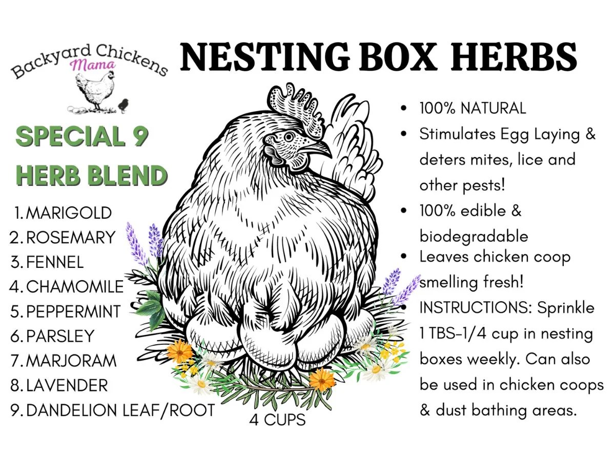 Nesting Box Herbs Backyard Chickens Mama