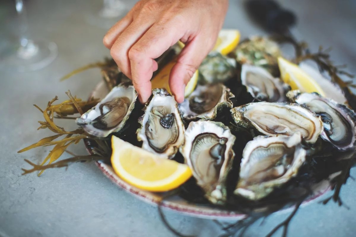 How To Smoke Oysters Easy Step By Step Method