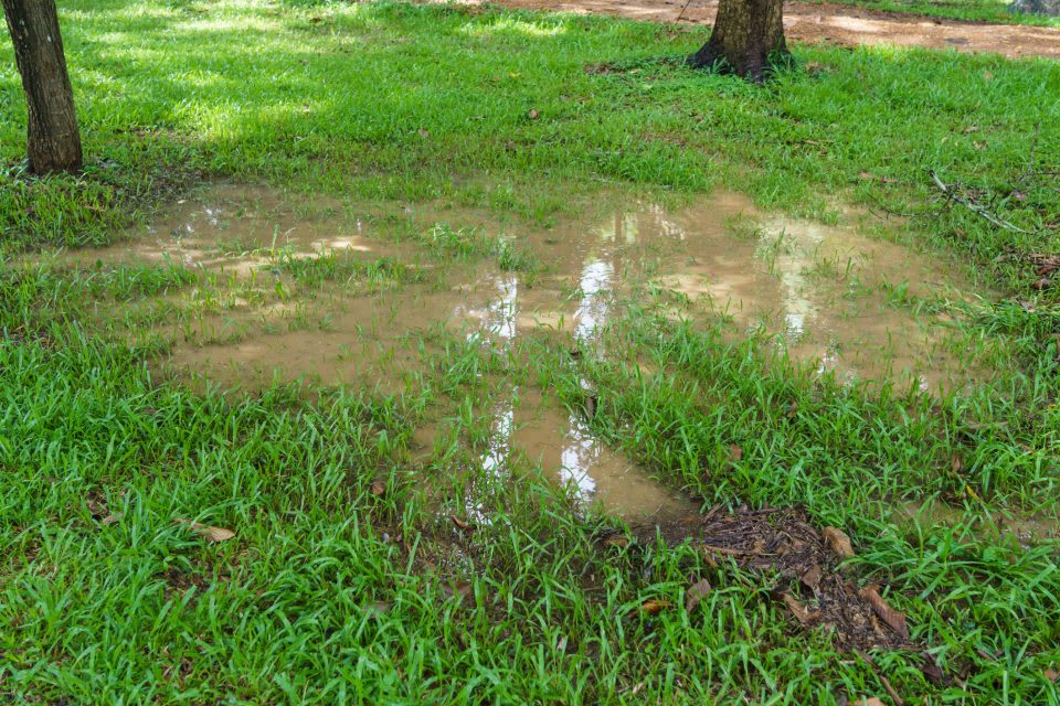 Landscape Drainage Specialists in Houston Drain Xperts