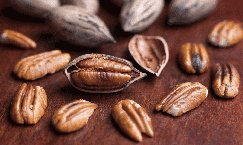 Can Chickens Eat Pecans? (Read This First!)