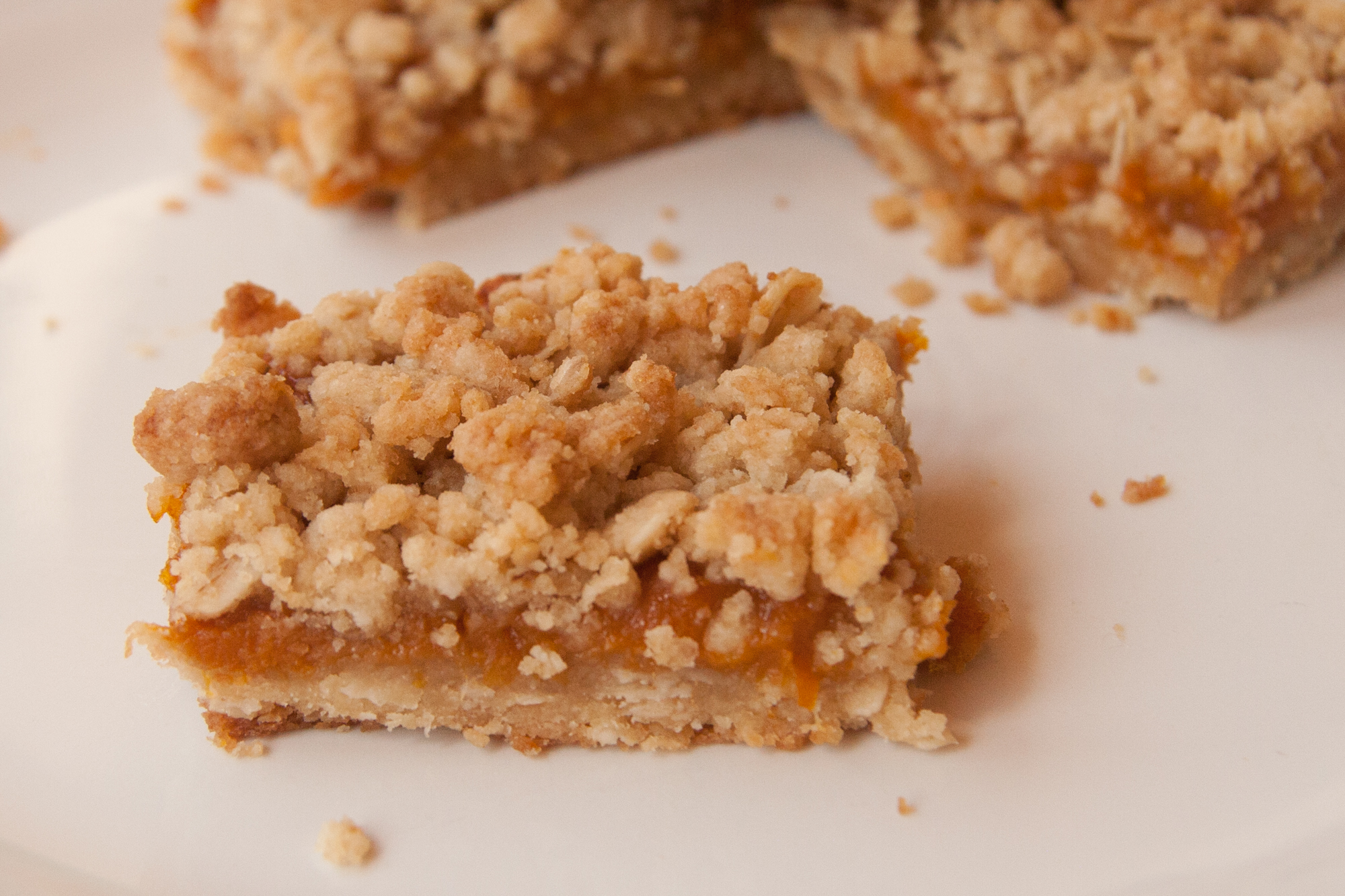 Apricot Crumble Squares Recipe Backyard Forager