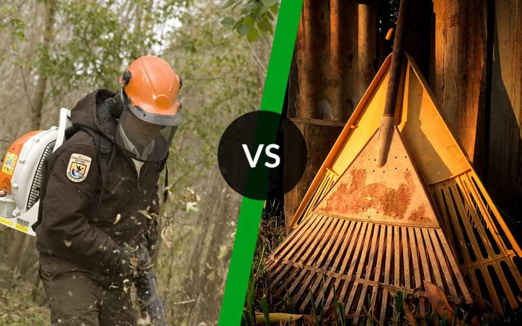 Leaf Blower vs. Rake Which One is Better? BackyardGadget