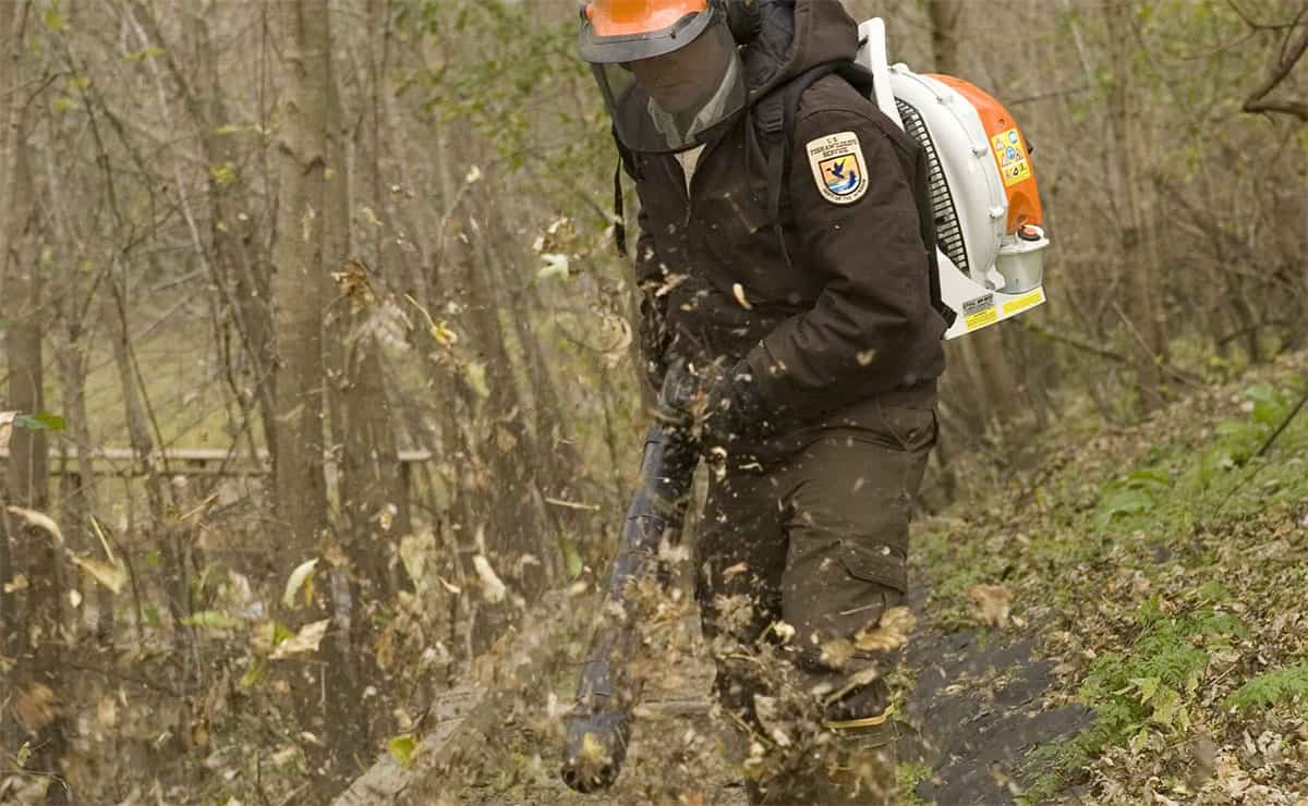 The Most Powerful Backpack Blowers on the Market in 2019