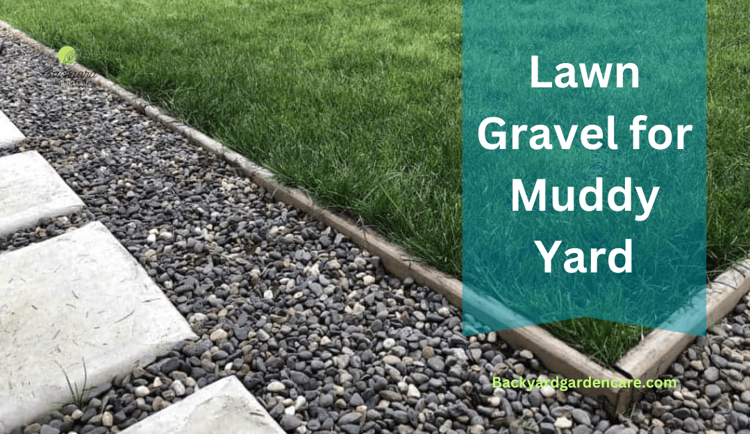 How to Fix a Muddy Yard The Ultimate Guide 6 Expert Tips and