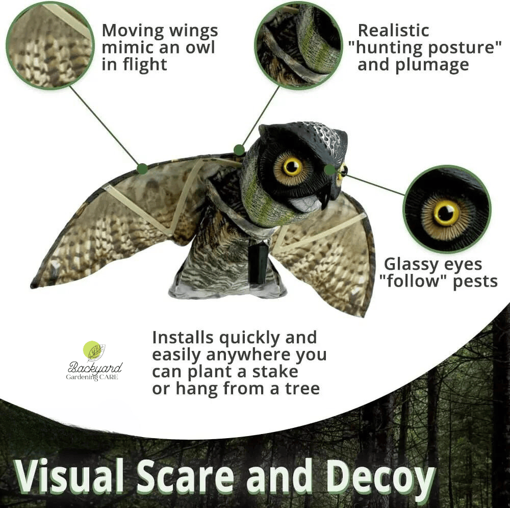 How to Keep Away Birds Eating Grass Seed 9 Effective Ways Backyard