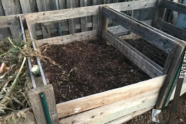 40 Cheap and Easy Ways to Fill Your Raised Garden Beds Backyard