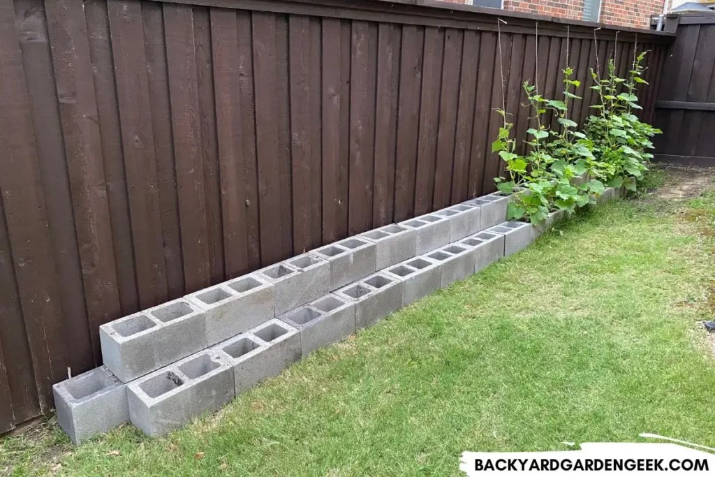 7 Reasons to Put Cardboard Under Your Raised Garden Beds Backyard