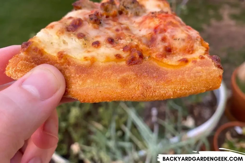 Is Your Leftover Pizza CompostFriendly? Backyard Garden Geek