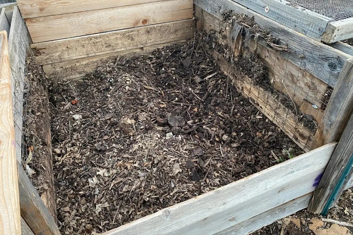 What Goes at the Bottom of a Compost Pile? 9 Things to Add Backyard